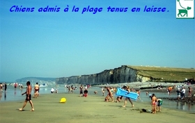 Vue arienne de la plage